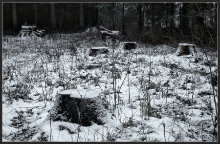 Странный Январь