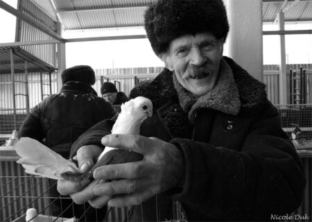 АЙ-ХОРОШ ТОВАР!