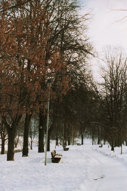 зимний парк