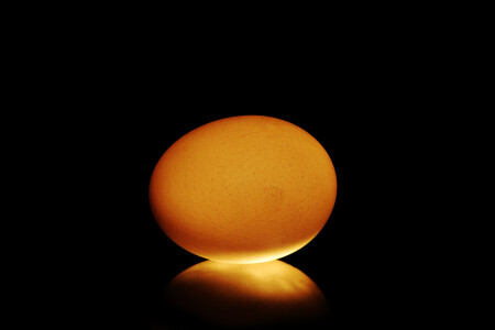 Лаконичность