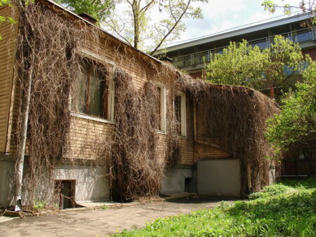 домик