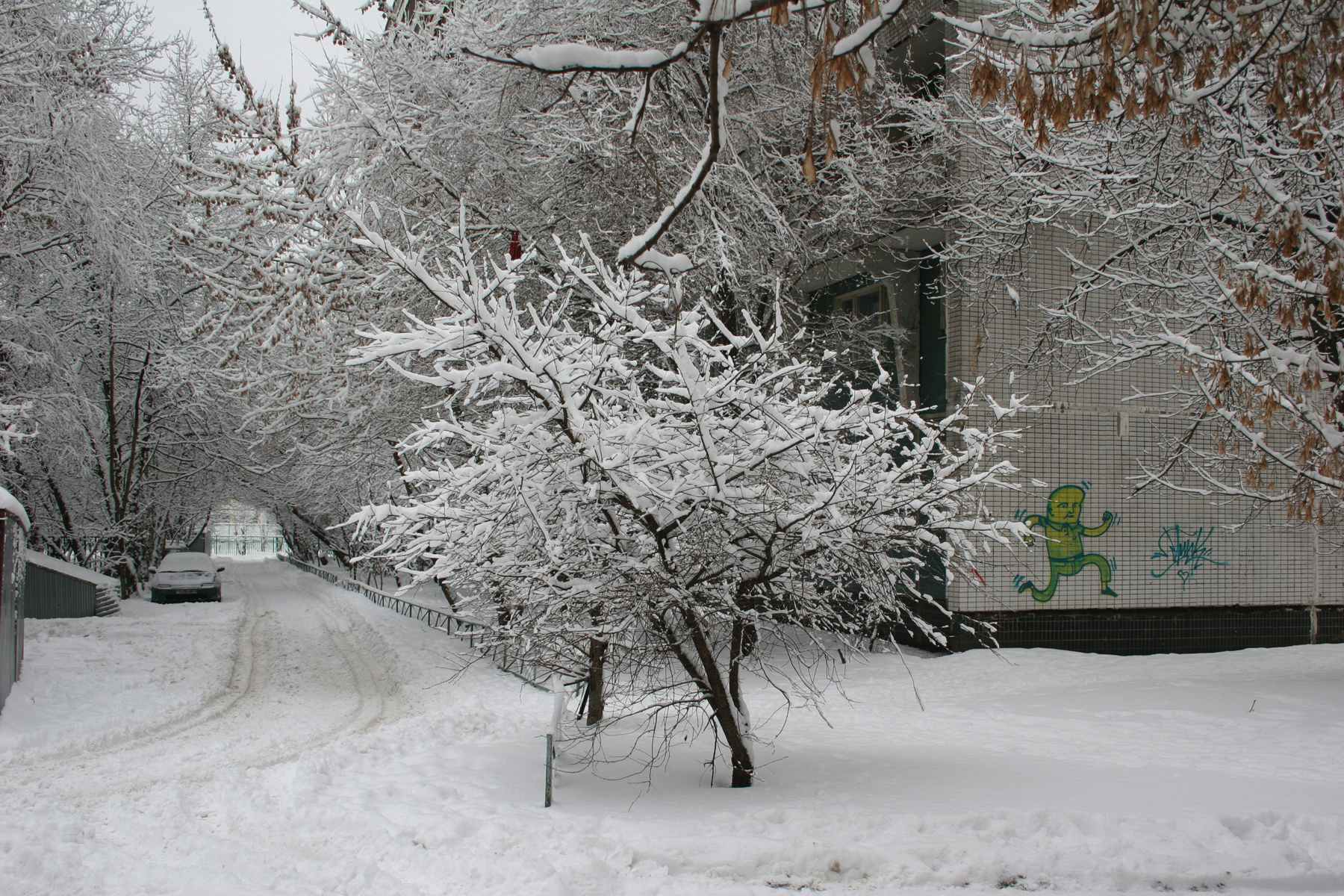 Московский дворик