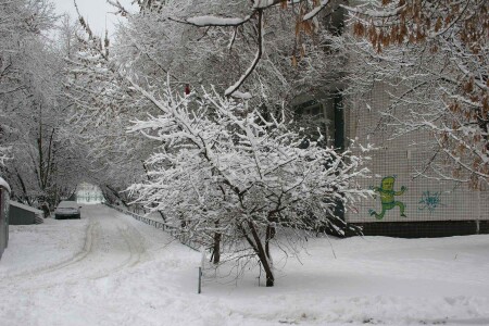Московский дворик