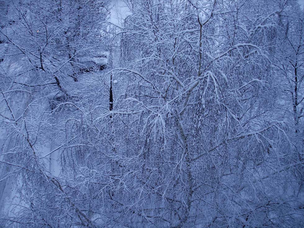 зима в городе