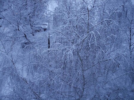 зима в городе