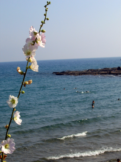 Черное море
