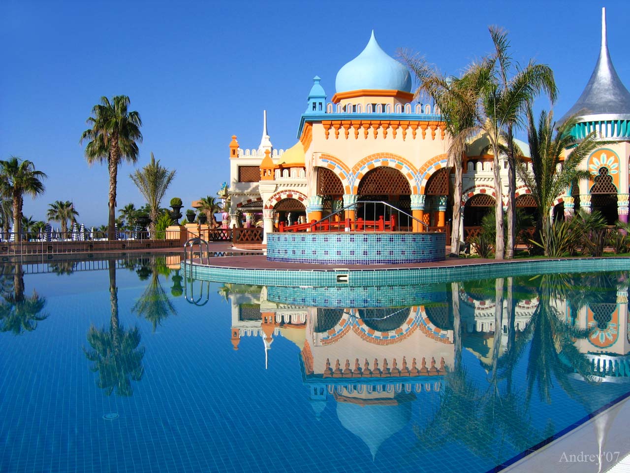 Kamelya World