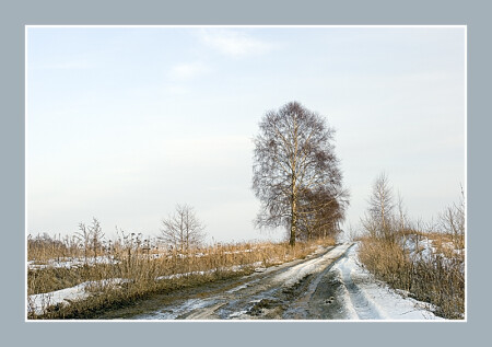 Оттепель