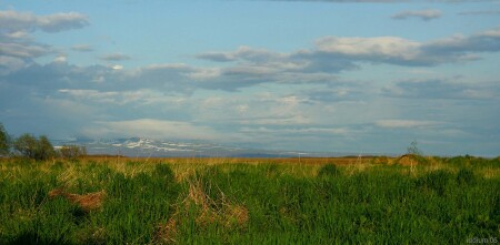 TUNDRA KAMCHATSKAYA