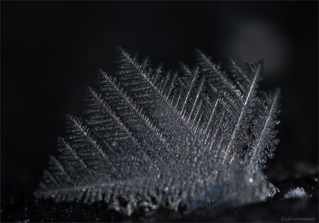 Cold ornaments