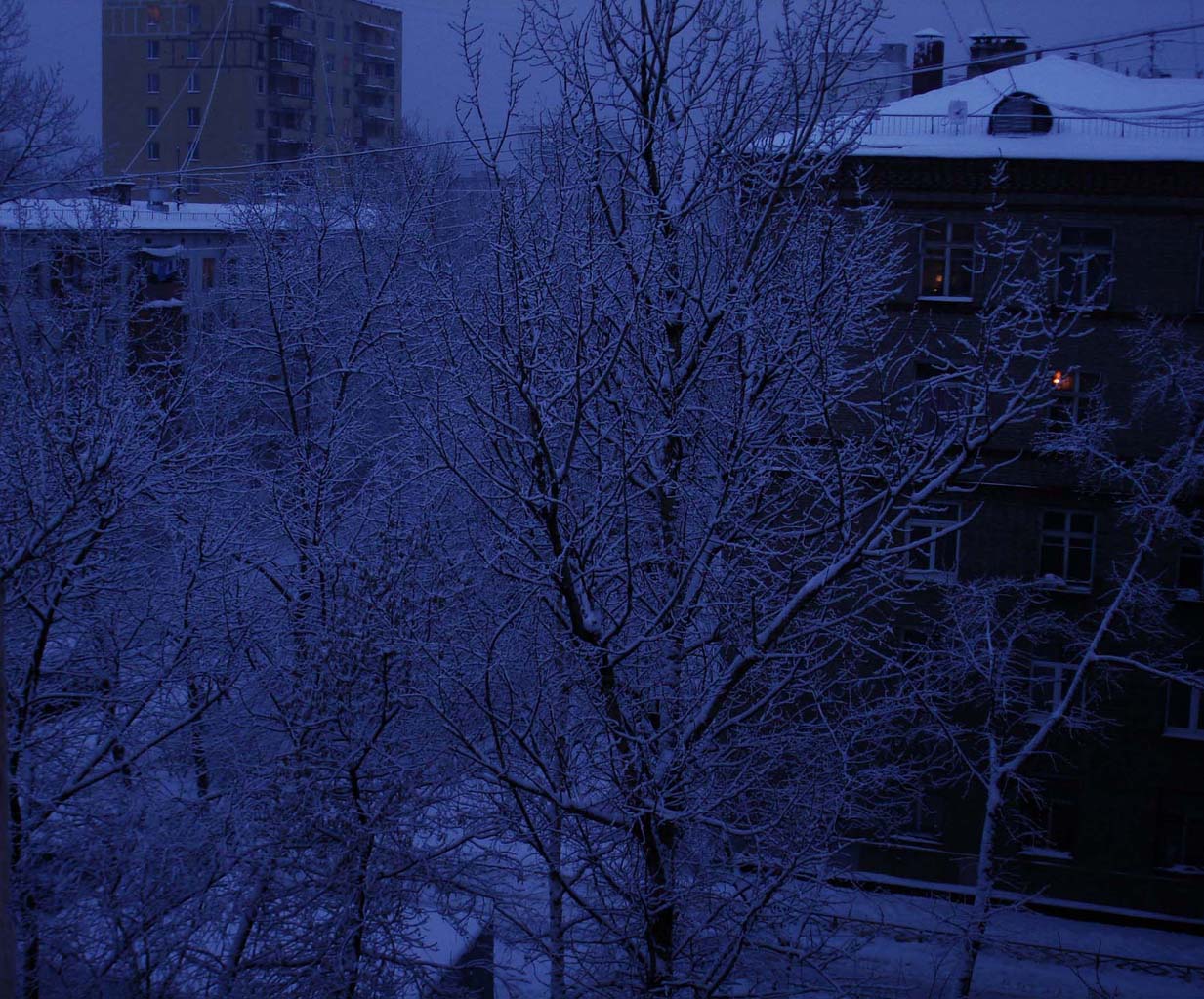 зима в городе2