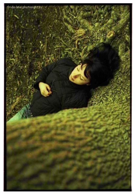 In earth I find quietness which I so long hath seeked