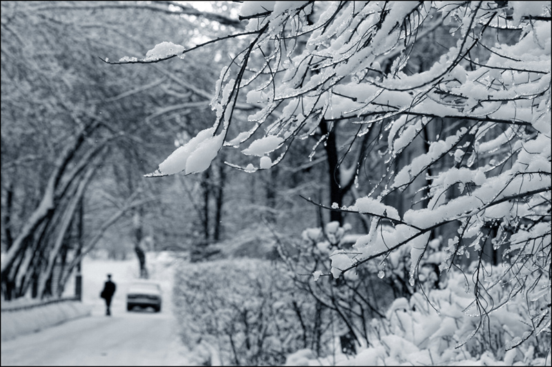 Winter
