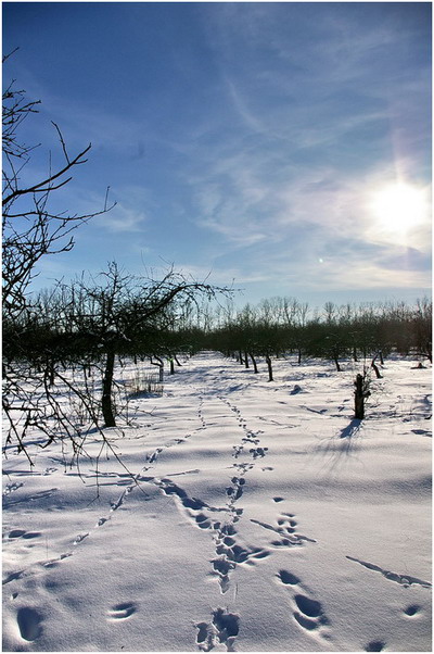 солнечно