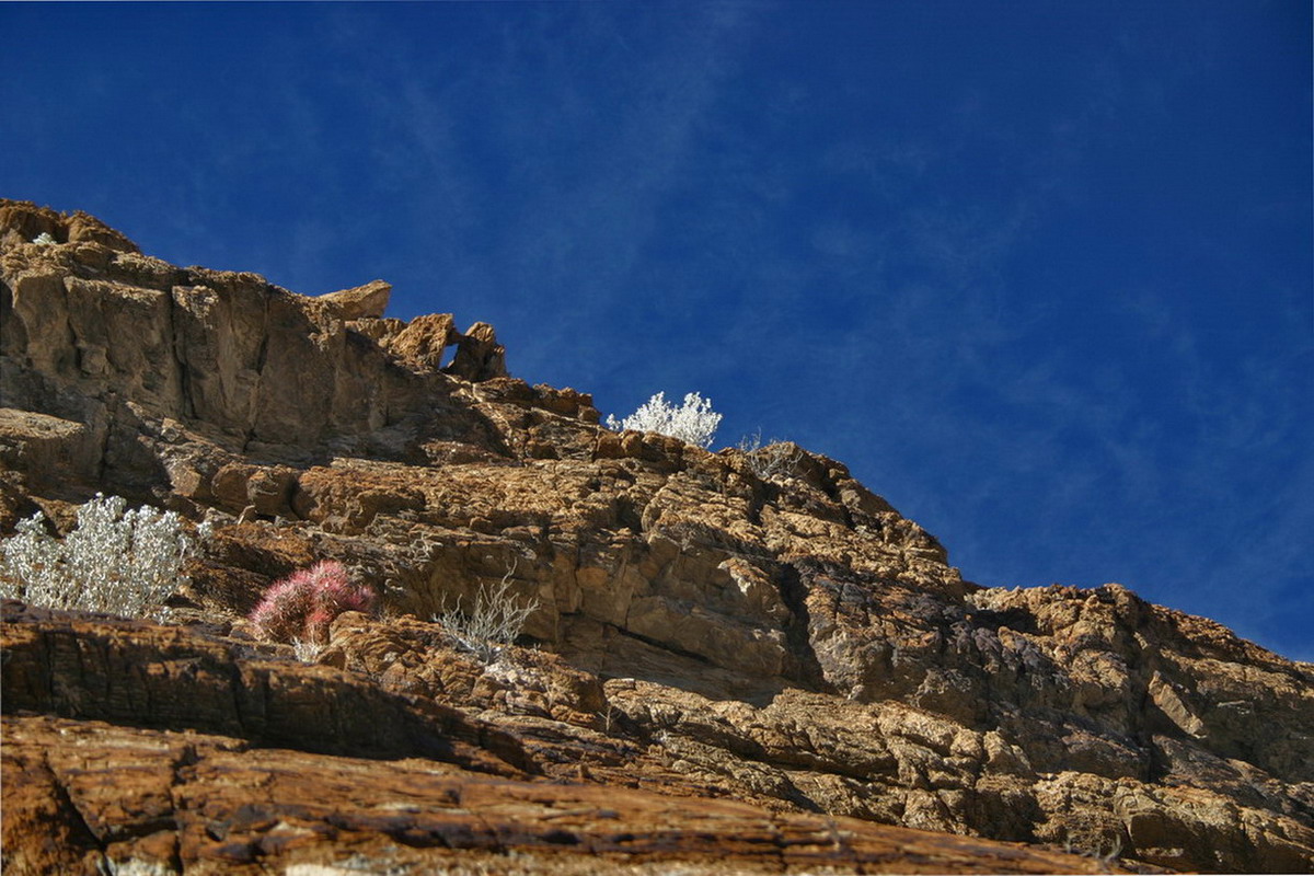 Mosaic Canyon_02