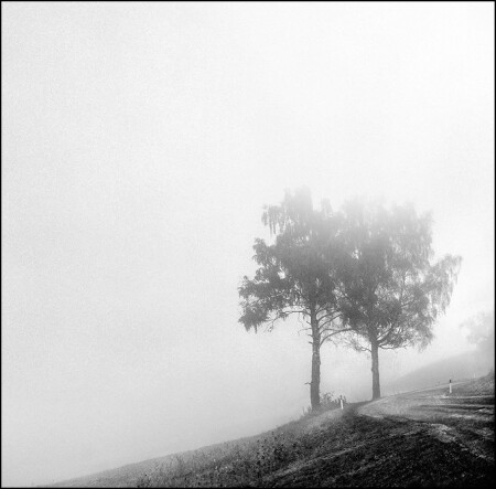 by the road
