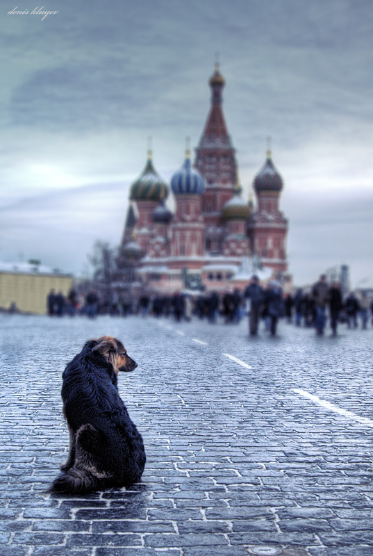 Тоска