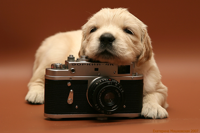нелегок труд фотографа...