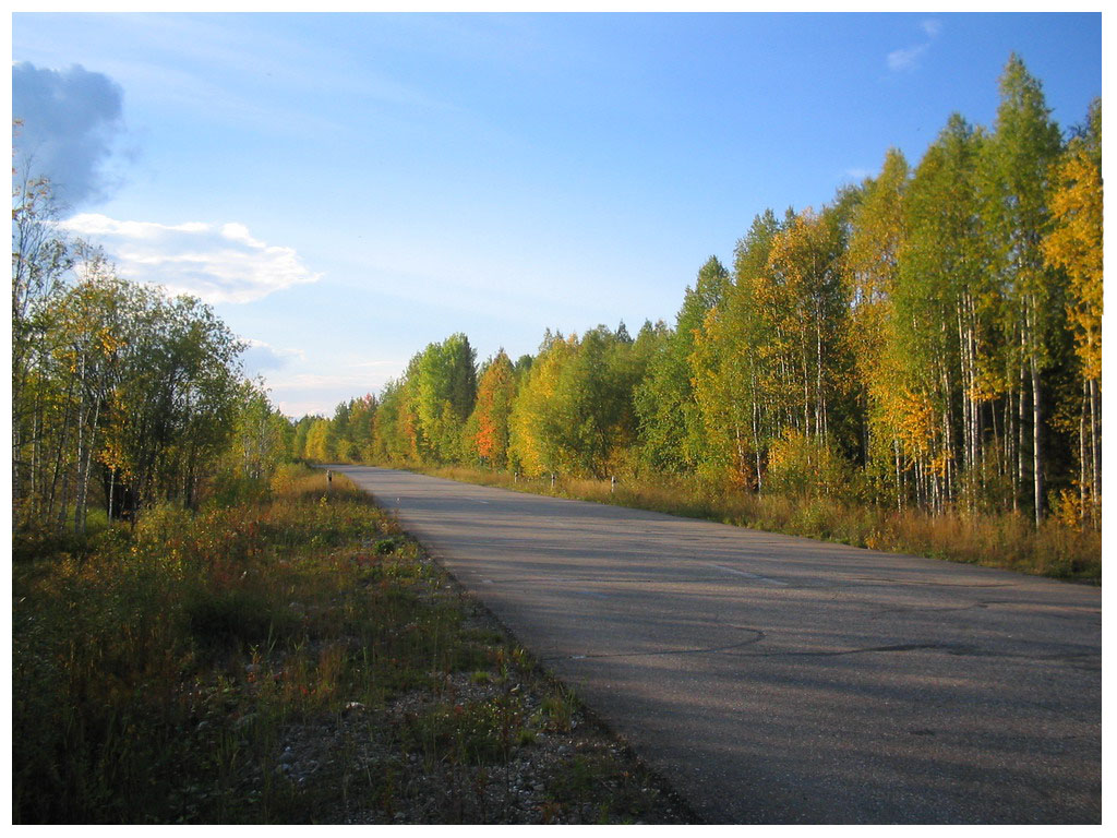 Дорога в осень