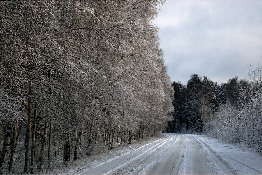 Первый снег 11-11-2006