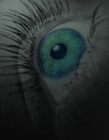 frozen eye