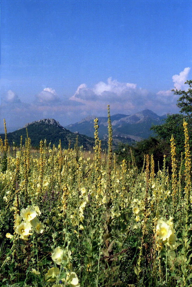  Крым