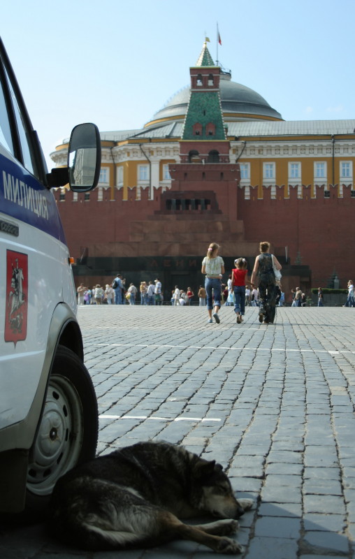 Место под солнцем, теневой вариант.