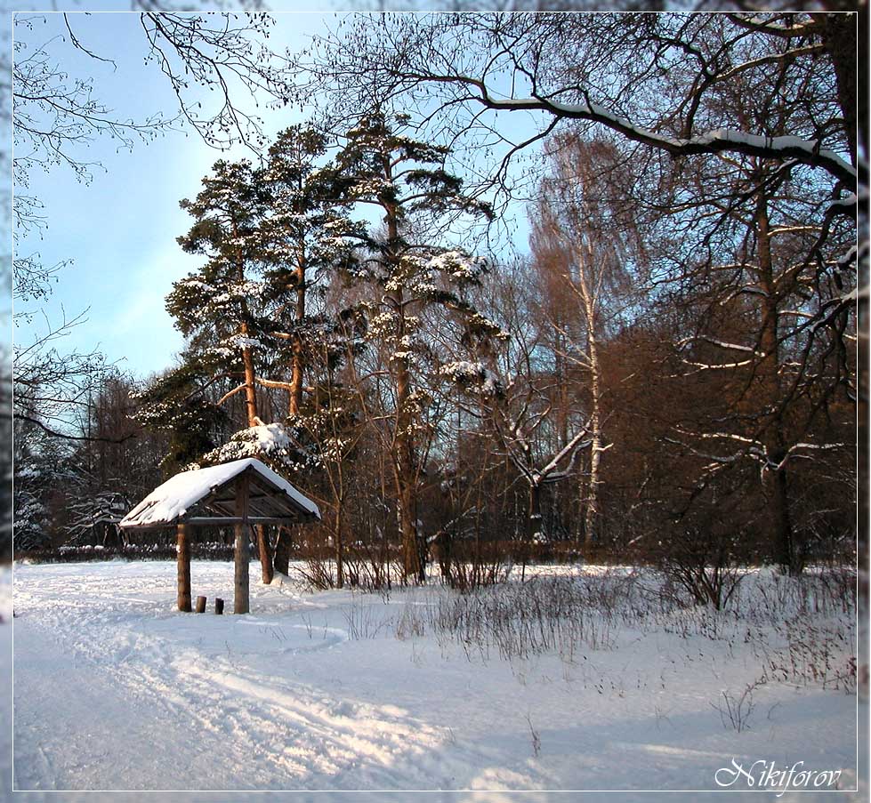 Зимний пейзаж