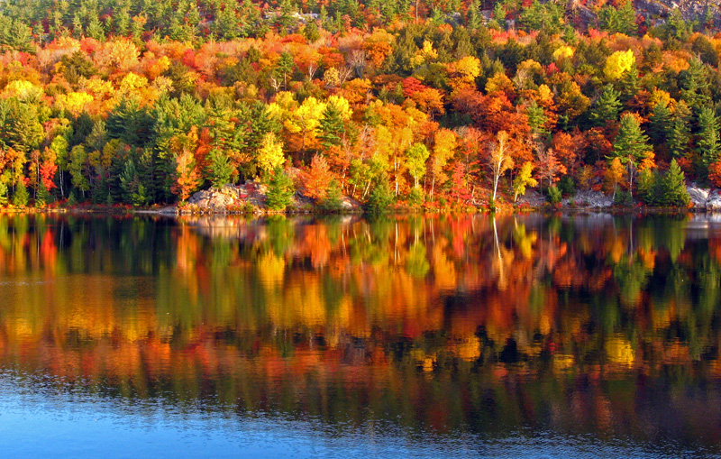 Killarney Park