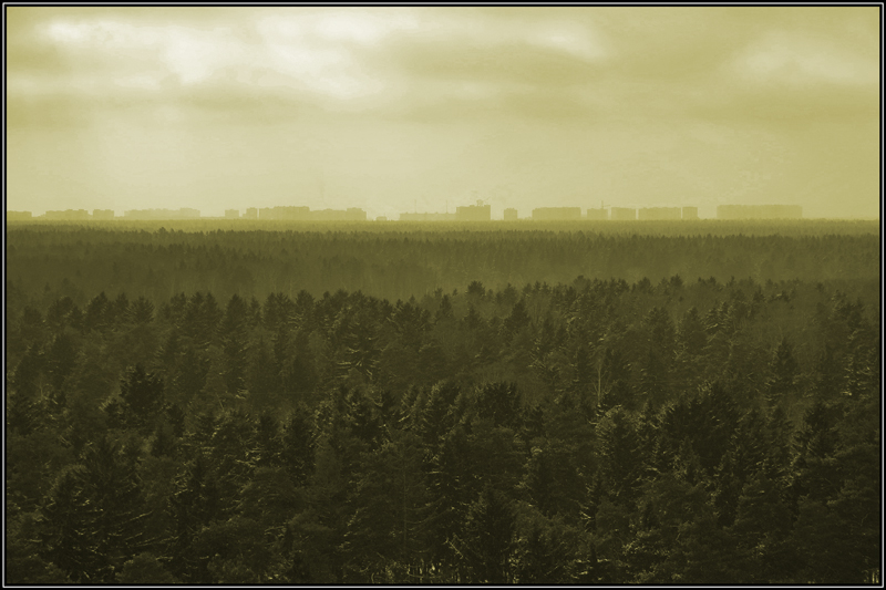 Город