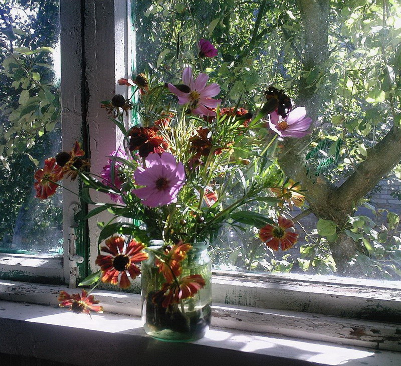 летний мотив