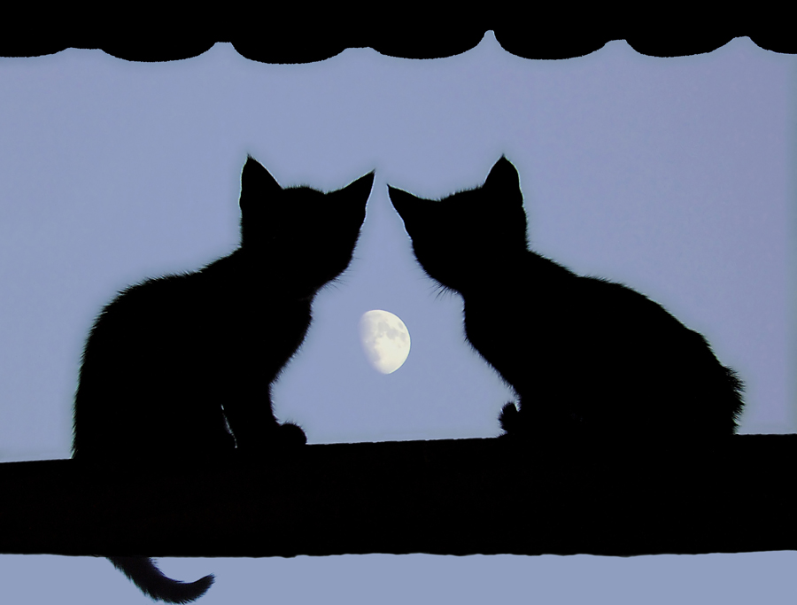 Moonlighting