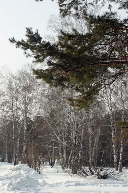 Зима