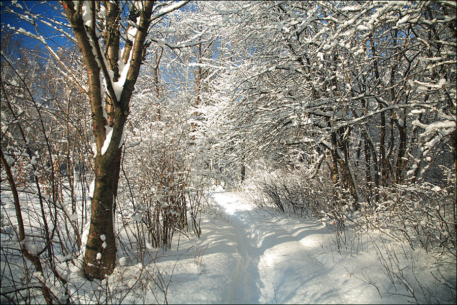 Морозным днем