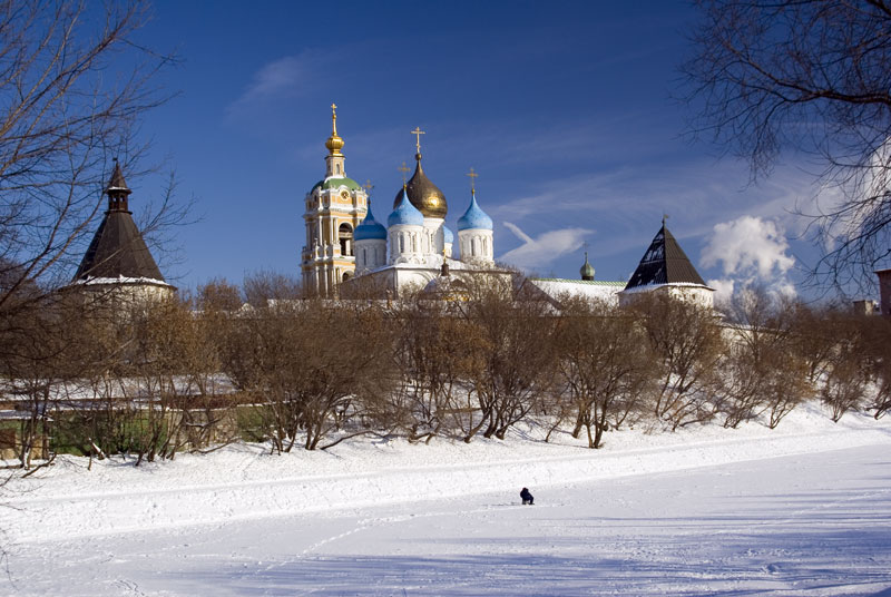 Новоспасский монастырь