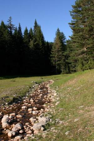 Природа Черногории