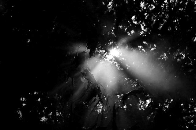 Light 2