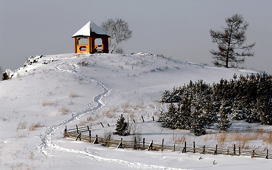 Winter