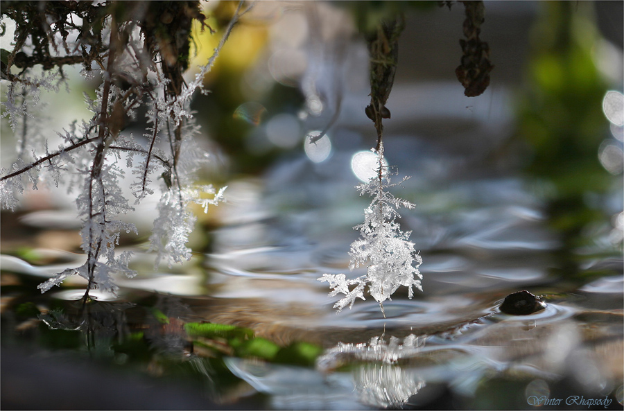 Winter Rhapsody