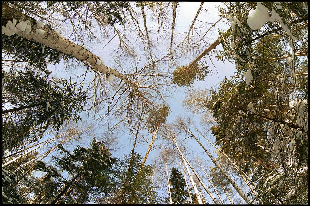 Air