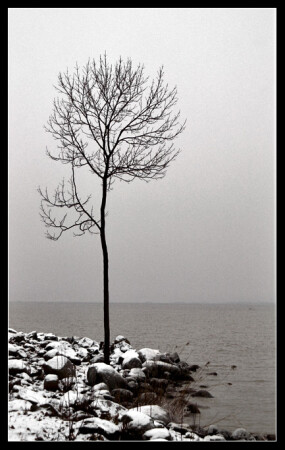 Жажда Жизни.