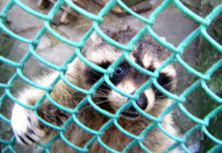 Дай-ка сюда фотик!