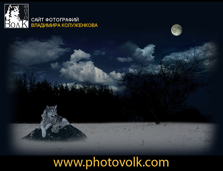 www.photovolk.com