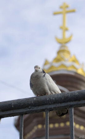 символизм...