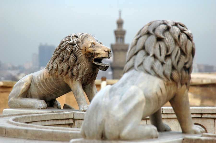 Lion