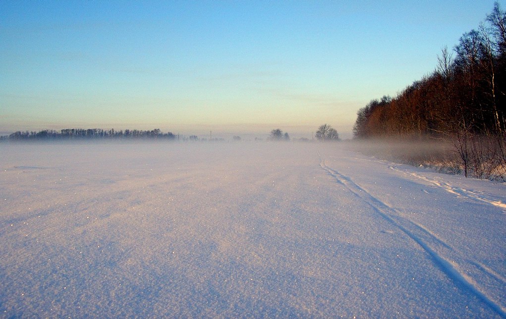 Туман в мороз