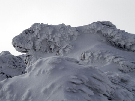 Страж ветра