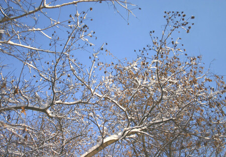 Небесные узоры