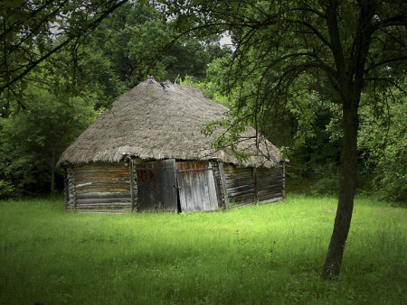Ukraine 3