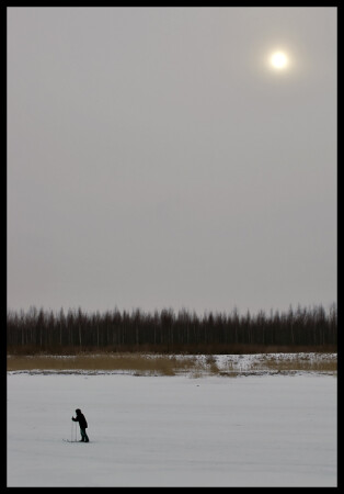 Февральский солнечный денек.